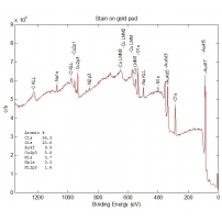 Diffusion of Cu to Au